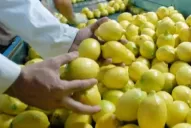 Desde el Senasa destacan el trabajo responsable de los productores