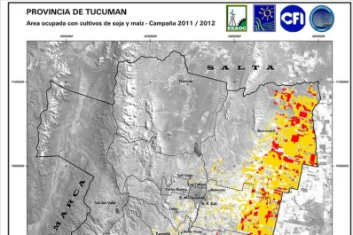 Un estudio satelital reveló menos siembra de soja y maíz