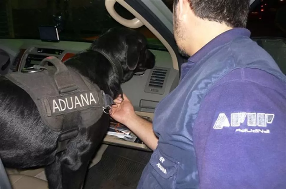 ATENTA. La perra señaló la guantera de la camioneta. NA