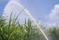 El sistema de riego está colapsado