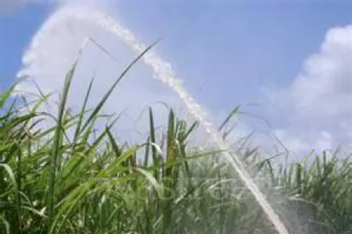 El sistema de riego está colapsado