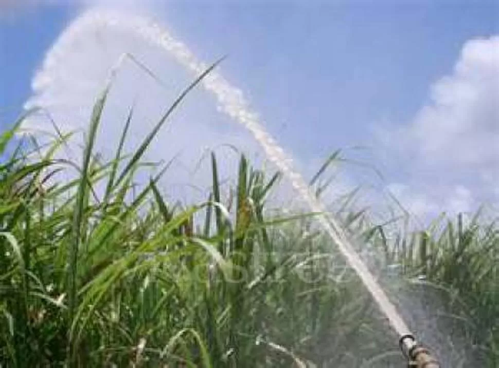 AYUDA. El riego es la alternativa ante la falta de precipitaciones. 