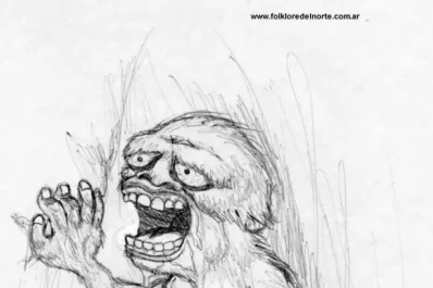 Un pescador salteño dice que vio un ucumar