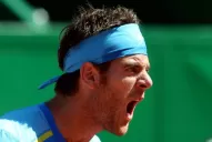 Del Potro aseguró el primer punto de la serie