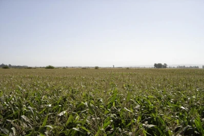 Nos complican las indecisiones de los gobiernos nacional y local