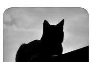 La muerte del Mero Macho Mandinga