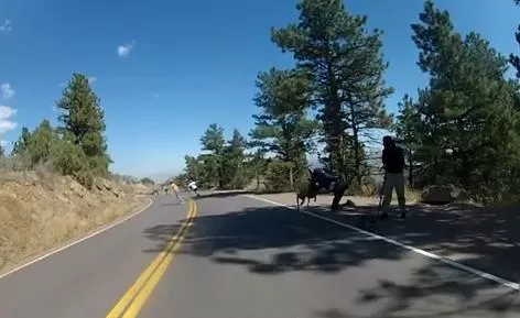 ¡NO LO VIO VENIR! El joven se pegó un tremendo golpe. IMAGEN DE CAPTURA/YOUTUBE