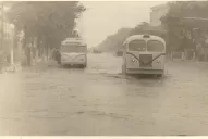 Marchaban a 20 km por hora, pero podían llegar a 60