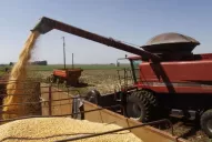 La Sociedad Rural apunta al estímulo  del Gobierno