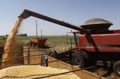 La Sociedad Rural apunta al estímulo  del Gobierno