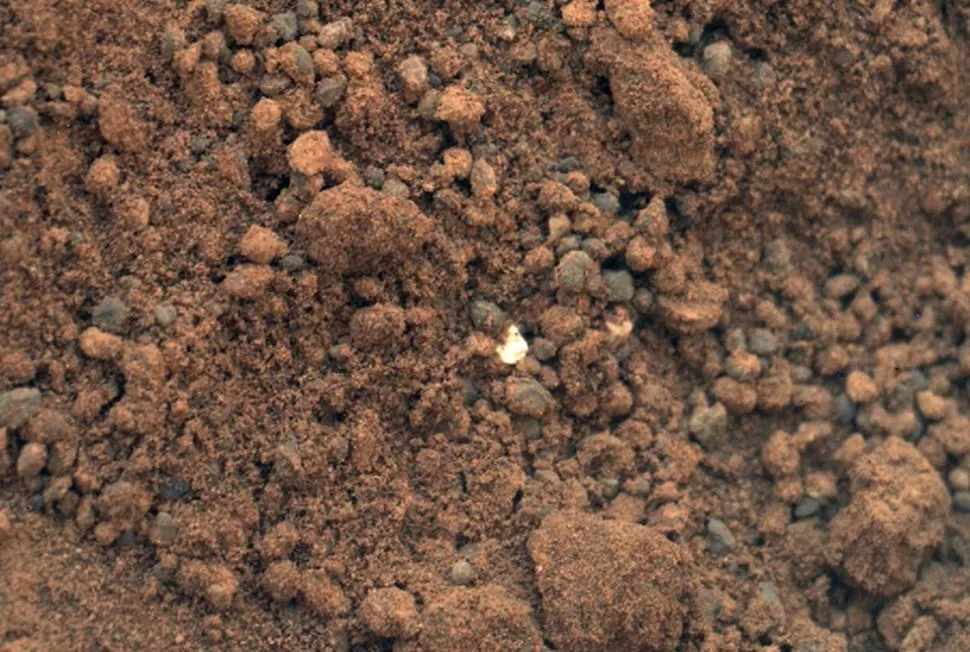 INVESTIGACION. Curiosity analizará las muestras en un laboratorio que transporta en su interior. FOTO TOMADA DE NASA.GOV