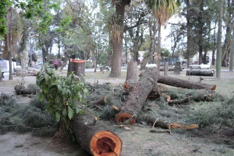 Arbitrariedad, ignorancia y atropello