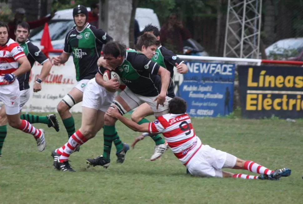 CORAZON VERDINEGRO. Phelan le pidió a Farías que vuelva a jugar en Tucumán Rugby para que mantenga su nivel. FOTO TOMADA DE PASIONYDEPORTE.COM.AR