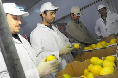 Los residuos de herbicidas condicionan la comercialización