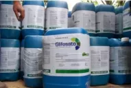 Es importante el buen empleo de herbicidas