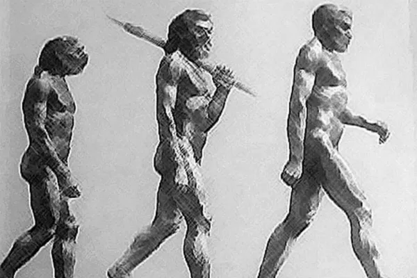 La evolución de los humanos, paso a paso
