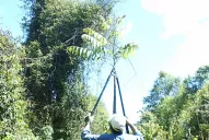 Los proyectos parten del ordenamiento territorial