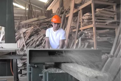 Los objetivos deben ser acordes con las necesidades de recursos forestales que tenemos