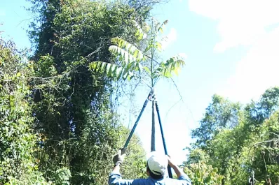 Los proyectos parten del ordenamiento territorial
