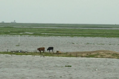 El titular  de la SRA se lamentó por el acoso fiscal