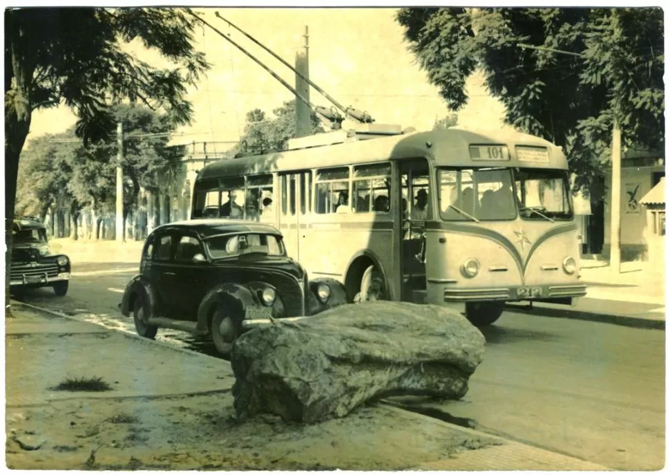 AL SUR. Una unidad de la línea 101 por avenida Alem primera cuadra. En la vereda, un tronco de tarco caído. LA GACETA / ARCHIVO