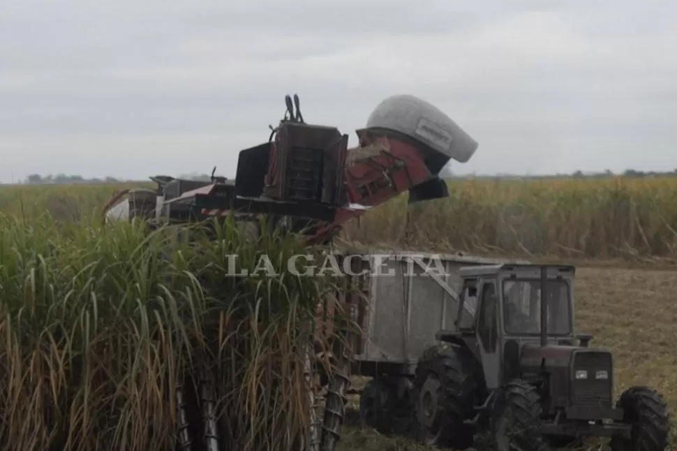 NO FUE UN BUEN AÑO. Concluyó una zafra altamente complicada, aseguraron desde UCIT.  LA GACETA/ FOTO DE OSVALDO RIPOLL.