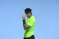 Del Potro cayó ante David Ferrer en Londres