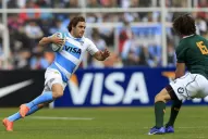 Los Pumas: Una gran responsabilidad para un Cachorro en crecimiento