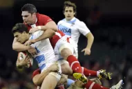 Dragones celeste y blanco