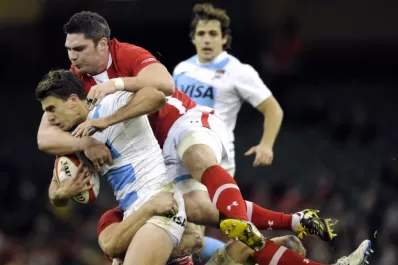 Dragones celeste y blanco