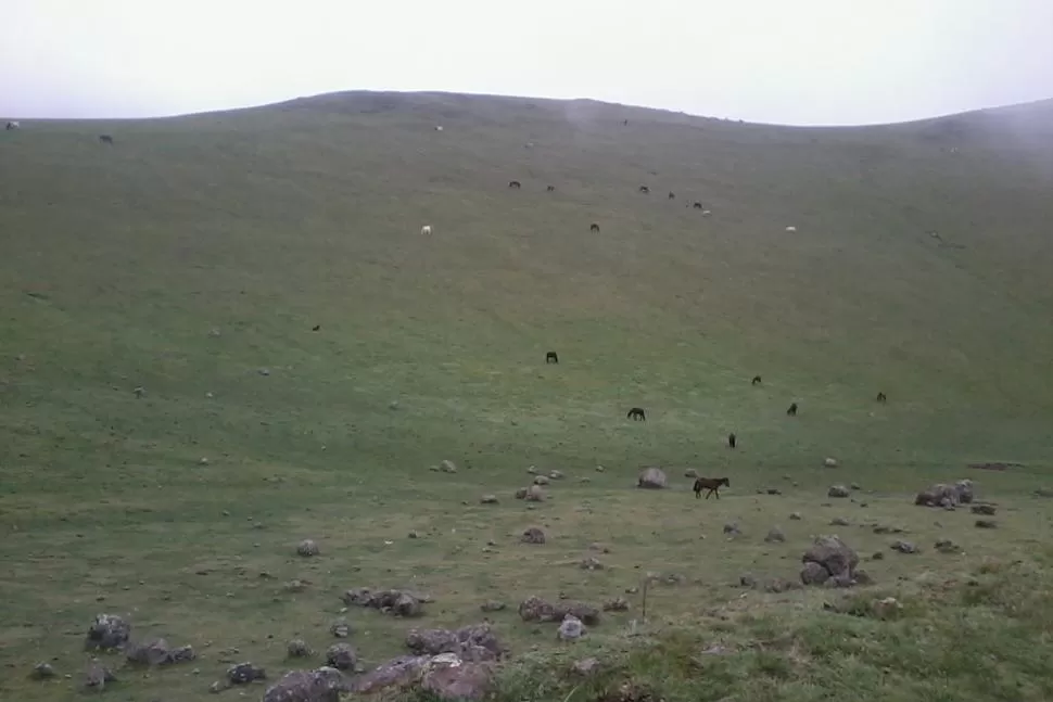 Esto es vida...paz y salud
