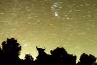 Saquen primera fila para ver la lluvia de estrellas