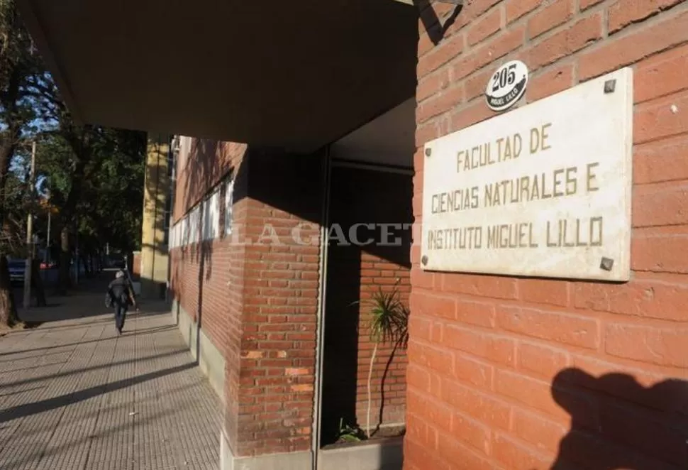 CONTIENDA. Tres fuerzas participarán de la votación para renovar autoridades en Ciencias Naturales. ARCHIVO LA GACETA