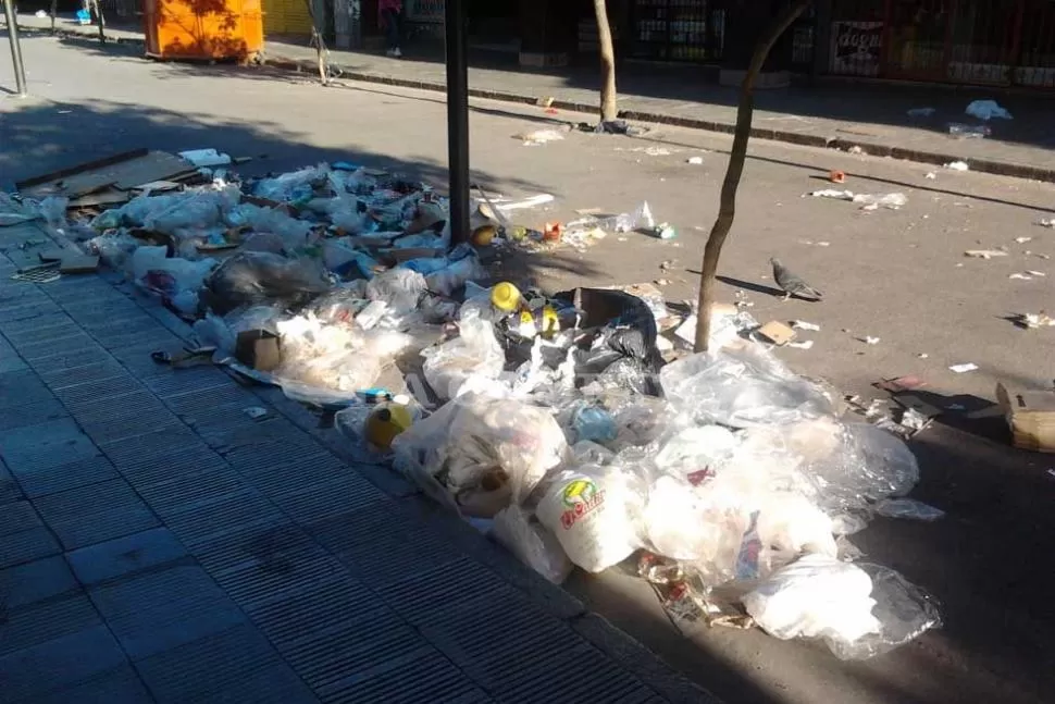 VEREDAS SUCIAS. Los perros callejeros se encargaron de empeorar la imagen. LA GACETA/FOTO DE SOLEDAD NUCCI