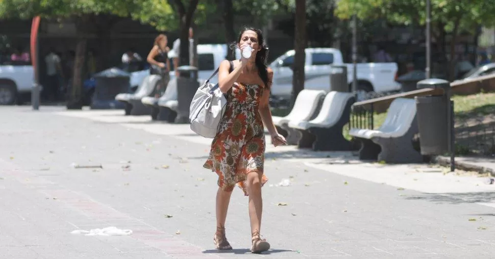A HIDRATARSE. Para sobrevivir, a tomar agua. LA GACETA/ FOTO DE JUAN PABLO SÁNCHEZ NOLI.