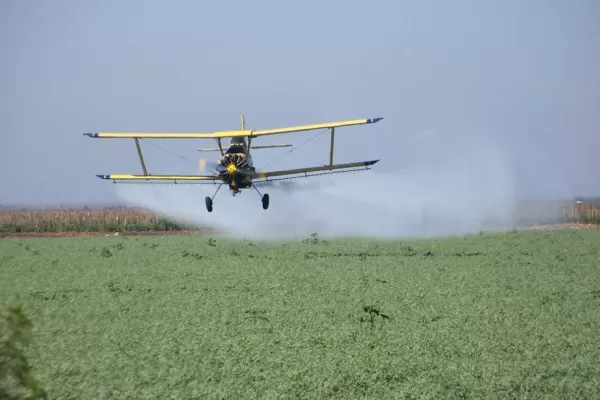El ingeniero agrónomo es el responsable de la aplicación y el manejo de los agroquímicos