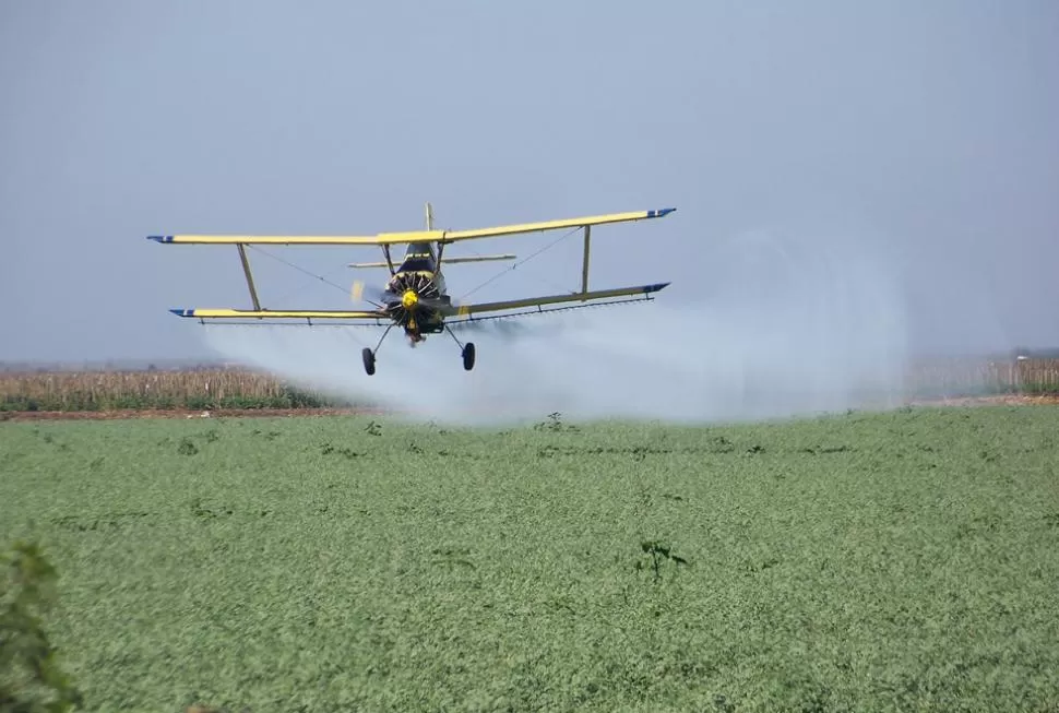 INCUMBENCIAS. Las aplicaciones aéreas, al igual que las terrestres, deberán realizarse bajo el control y responsabilidad profesional de un agrónomo. ARCHIVO LA GACETA 
