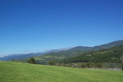 Un hombre y su hijo murieron en un accidente en Raco