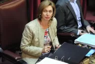 Es una agresión a todo el pueblo argentino, dijo Rojkés de Alperovich