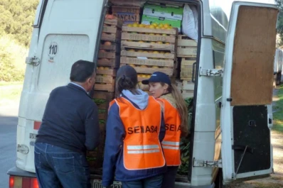 Unen todos los esfuerzos en contra del HLB