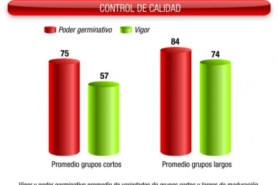 La sequía pasada incidió en la calidad de la semilla de soja actual