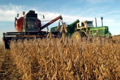 La producción de biodiesel cayó hasta el 48%