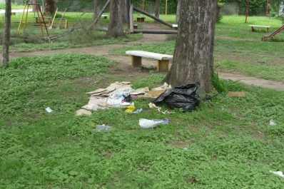 Parece un baldío pero es una plaza