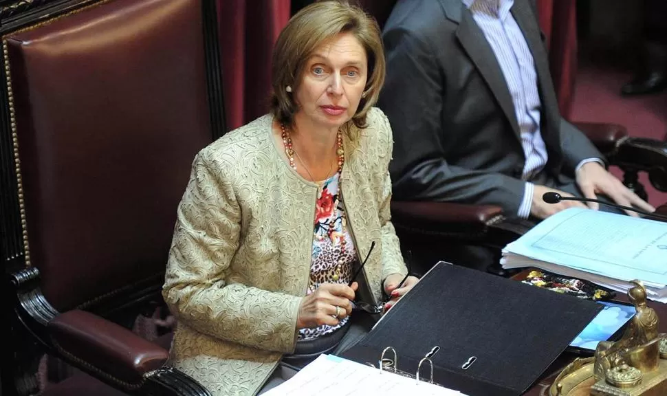 CRITICA. No es posible que unas pocas personas intenten poner freno a la voluntad de millones de argentinos, se quejó la senadora. TELAM