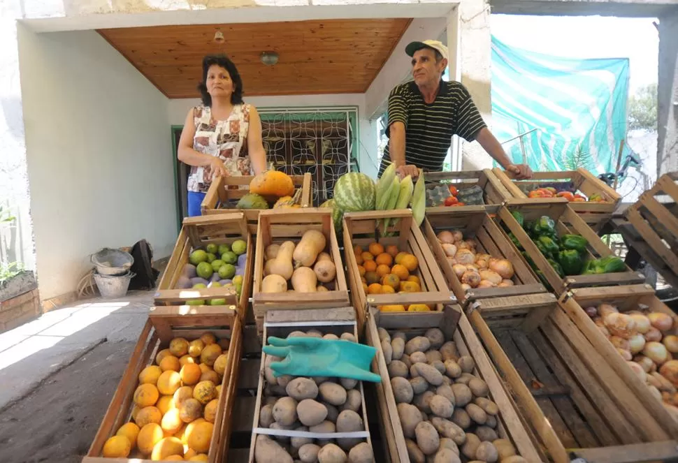 EMPRENDEDORES. Silvia Maidana y Pedro Vallejo instalaron una verdulería y un vivero que les permitirán dejar de migrar, después de casi 30 años. LA GACETA / FOTOS DE OSVALDO RIPOLL