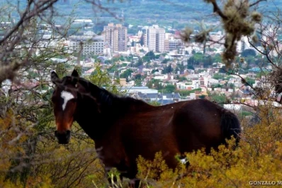 Valiosa historia de Catamarca, Santiago y La Rioja