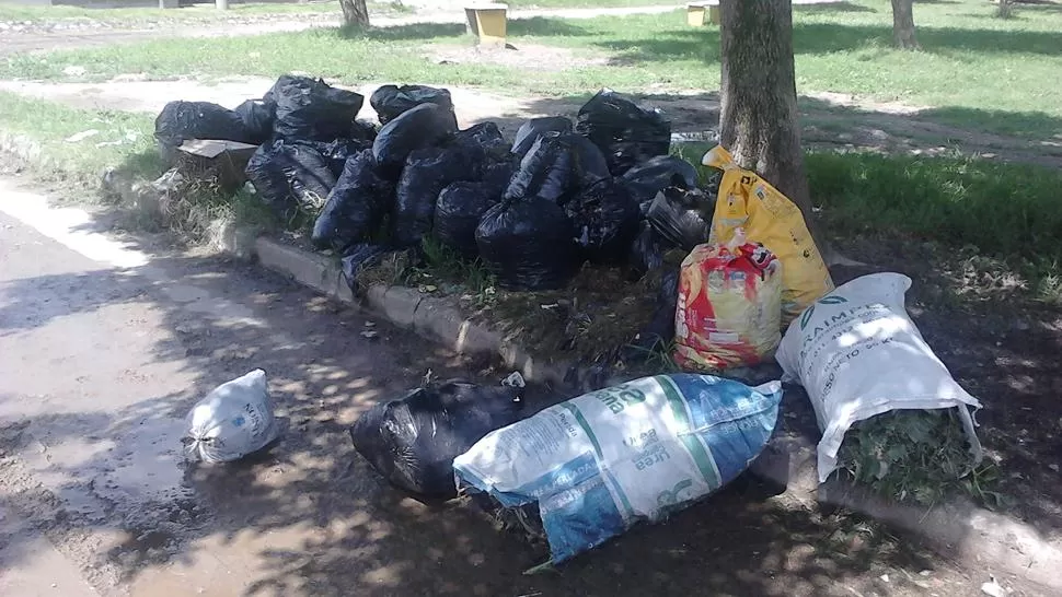 Esperando al mesías... digo, basurero