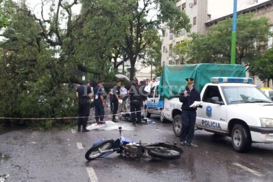 Un árbol cayó encima de un motociclista y lo mató