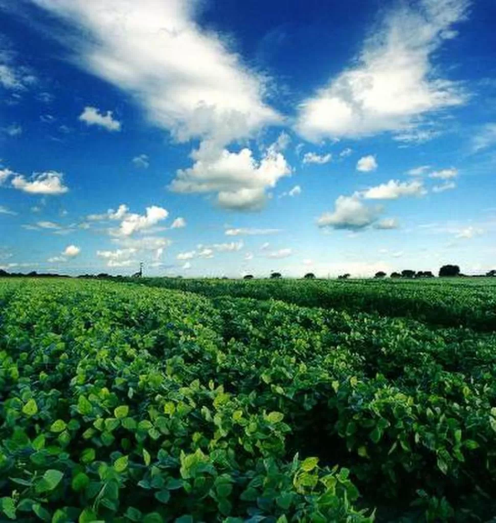 Las PyME podrán ahora adquirir su primera unidad o renovar la que tienen en uso  en la industria.  