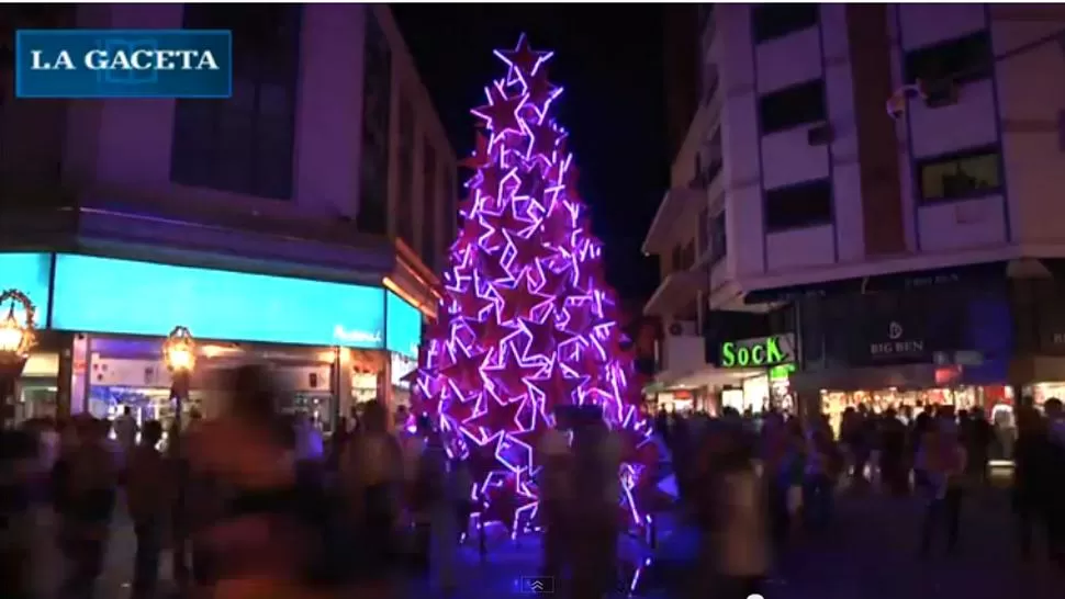 BRILLANTE. El árbol es todo un espectáculo por las noches. CAPTURA DE VIDEO.